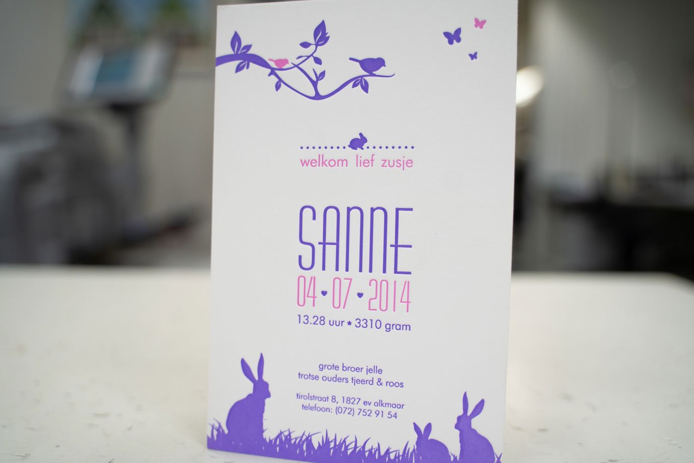 Geboortekaart wit en paars met konijnen