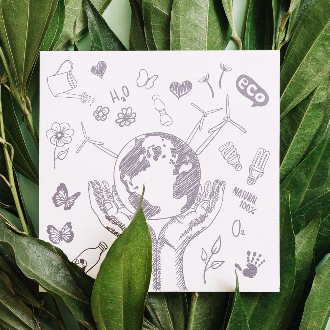 Groene plant met zwart wit tekening van de wereld in een paar handen en ecologische symbolen Groene plant met zwart wit tekening van de wereld in een paar handen en ecologische symbolen